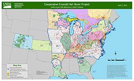Emerald ash borer map